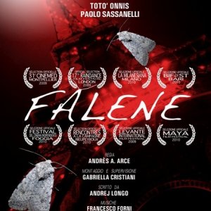 Falene: la locandina italiana del film