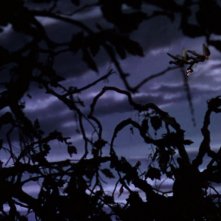 Il mago di Oz: una scena del film 