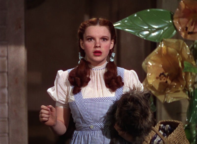 Il mago di Oz: la figlia di Judy Garland svela la scena che la terrorizzava