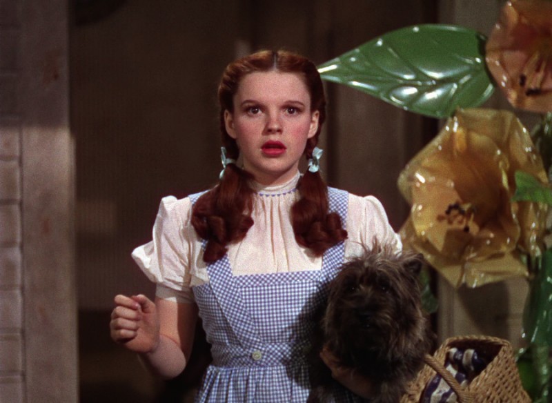 Judy Garland in una scena de Il mago di Oz