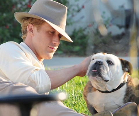 Ryan Gosling E Il Simpatico Bulldog Di The Gangster Squad 217091