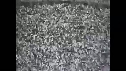 Viral 3 - Paranormal Activity 3