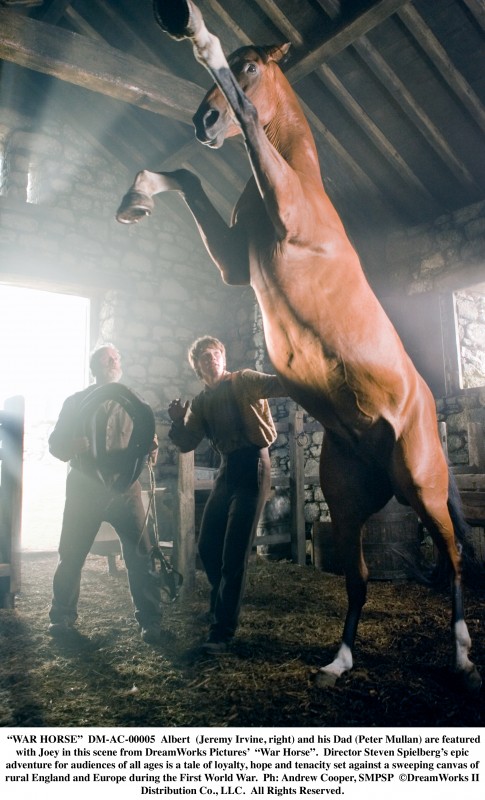 Peter Mullan E Jeremy Irvine Insieme Al Cavallo Joey In Una Scena Di War Horse 217541