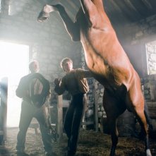 Peter Mullan e Jeremy Irvine insieme al cavallo Joey in una scena di War Horse