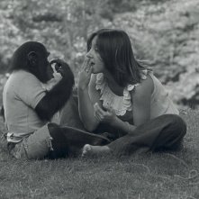 Project Nim: un'immagine del toccante documentario di James Marsh