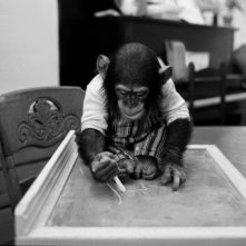 Project Nim: un'immagine tratta dal film