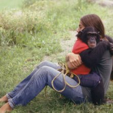 Project Nim: un'immagine tratta dal film che ha stregato il Sundance