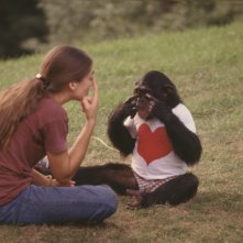 Project Nim: una tenera scena che ritrae il simpatico scimpanzé Nim