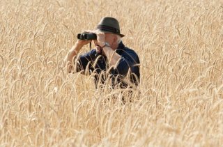 Steve Martin birdwatcher accanito in The Big Year