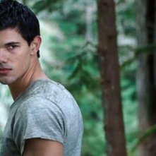 The Twilight Saga: Breaking Dawn - Parte I, un bel primo piano di Taylor Lautner