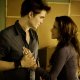 La saga di Twilight potrebbe tornare sugli schermi in futuro