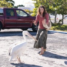 Ashley Judd in una divertentissima scena tratta dal film L'incredibile storia di Winter il delfino
