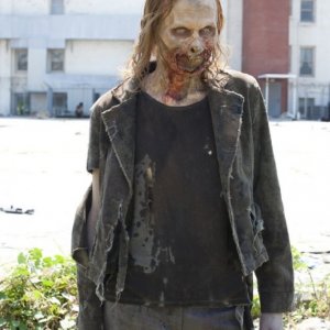 Un Errante ne La strada da percorrere, primo episodio della seconda stagione di The Walking Dead