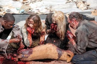 Una raccapricciante sequenza de La strada da percorrere, primo episodio della seconda stagione di The Walking Dead