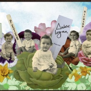 The british guide to showing off, un'immagine del documentario diretto da Jes Benstock