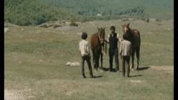 Video-recensione Cavalli