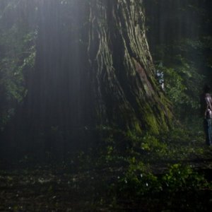 Una suggestiva scena del dramma familiare Le diable dans la peau