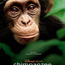 Chimpanzee: nuovo poster
