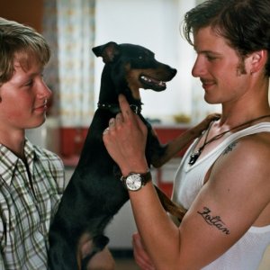 Noordzee, Texas: Jelle Florizoone e Thomas Couman in una scena del film insieme al loro amico a quattro zampe