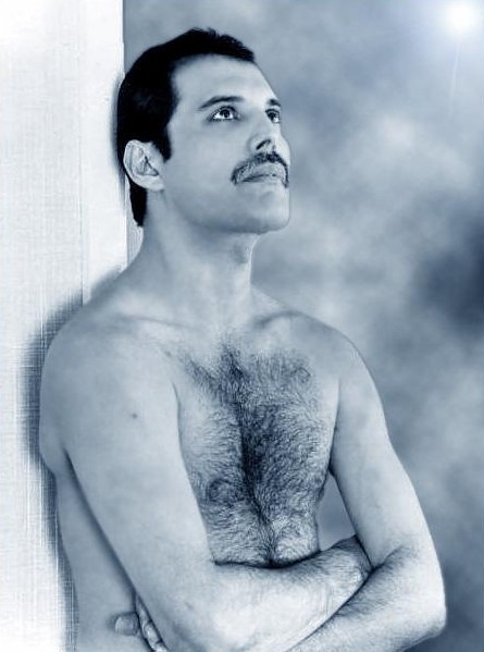 Freddie Mercury Una Foto Del Cantante 220068