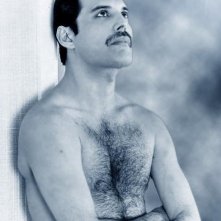 Freddie Mercury, una foto del cantante