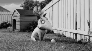 Frankenweenie di Tim Burton: una scena del film d'animazione