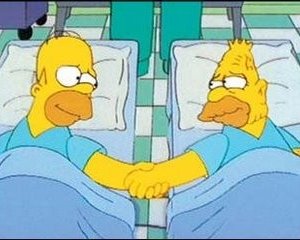 Una sequenza dell'episodio Homer Simpson in 'Problemi di reni ( Stagione 10 - I Simpson )