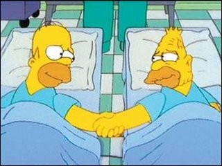 Una sequenza dell'episodio Homer Simpson in "Problemi di reni ( Stagione 10 - I Simpson )