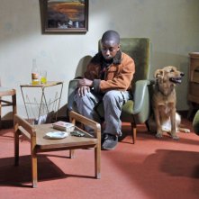 Blondin Miguel in una scena del drammatico Miracolo a Le Havre