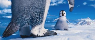 Happy Feet 2 in 3D, il piccolo pinguino Erik si rifiuta di ballare in una scena del film