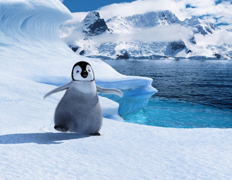 Happy Feet 2 In 3D Il Pinguino Protagonista In Una Scena Del Film D Animazione Diretto Da George Mil 221216