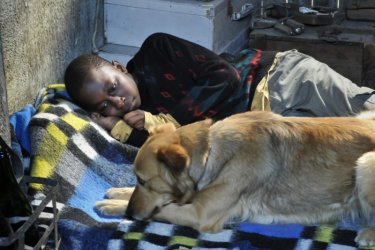 Il piccolo Blondin Miguel insieme al suo cane in una scena del film Miracolo a Le Havre