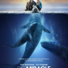 Big Miracle: poster USA