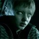 6 giorni sulla terra: ecco in homevideo il film di Varo Venturi