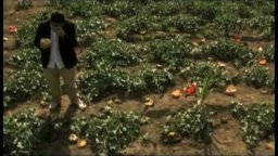 Video-recensione Sagràscia