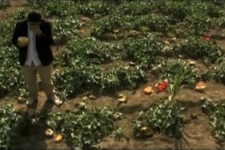 Video-recensione Sagràscia