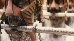 Videoclip - Immortals 3D