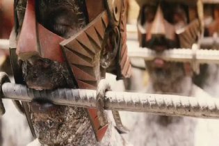 Videoclip - Immortals 3D