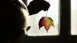 Trailer - Le tre distanze