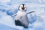 Recensione Happy Feet 2 in 3D (2011)