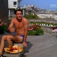 Dermot Mulroney in Che mi dici di Willy? - una scena del film