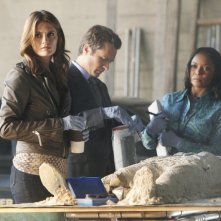 Castle Stana Katic Seamus Dever E Tamala Jones Nell Episodio Kick The Ballistic 224710