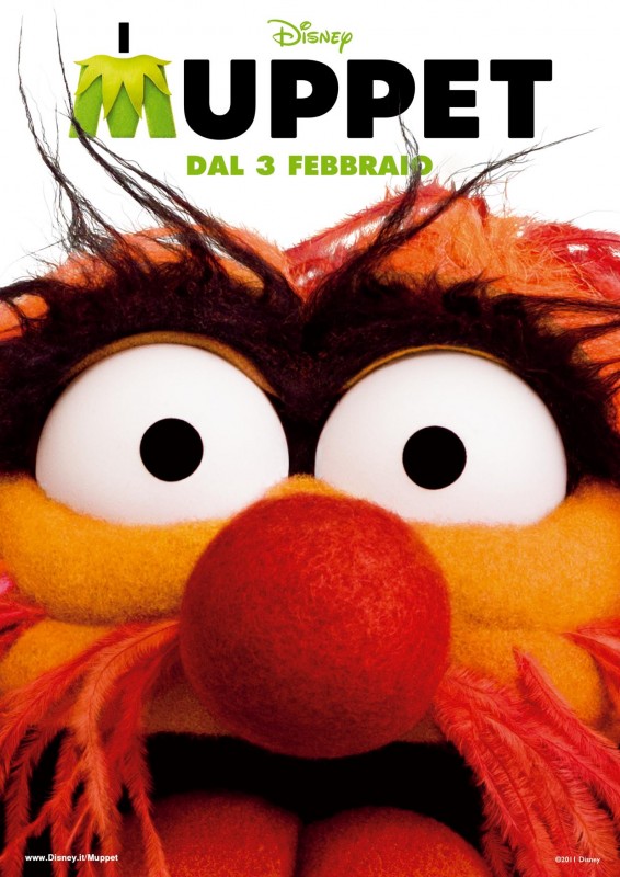 I Muppet Il Character Poster Italiano Con Animal 224924