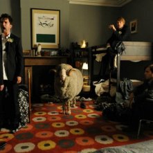 Tre uomini e una pecora: una concitata divertente scena del film