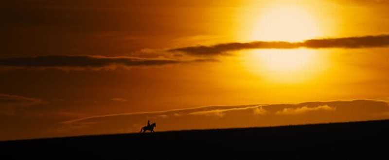 Jeremy Irvine E Il Suo Cavallo In Una Splendida Immagine Di War Horse 225766