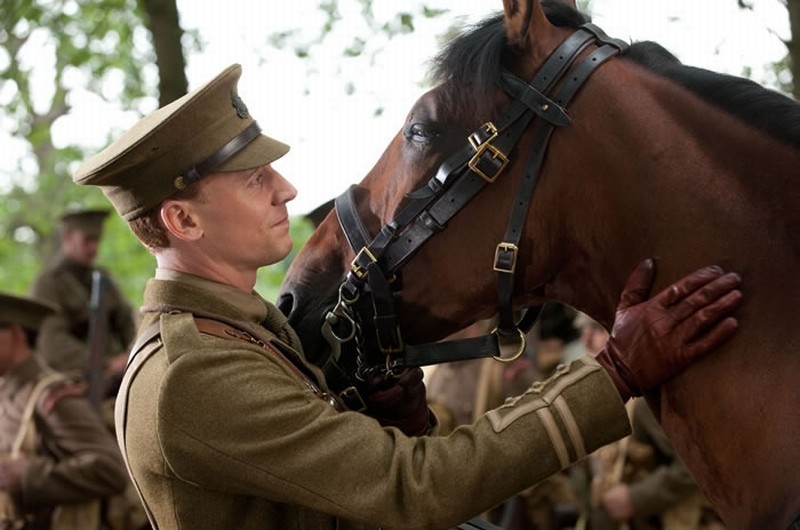 Tom Hiddleston Accarezza Lo Splendido Cavallo Protagonista Del Film War Horse 225775