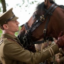 Tom Hiddleston Accarezza Lo Splendido Cavallo Protagonista Del Film War Horse 225775