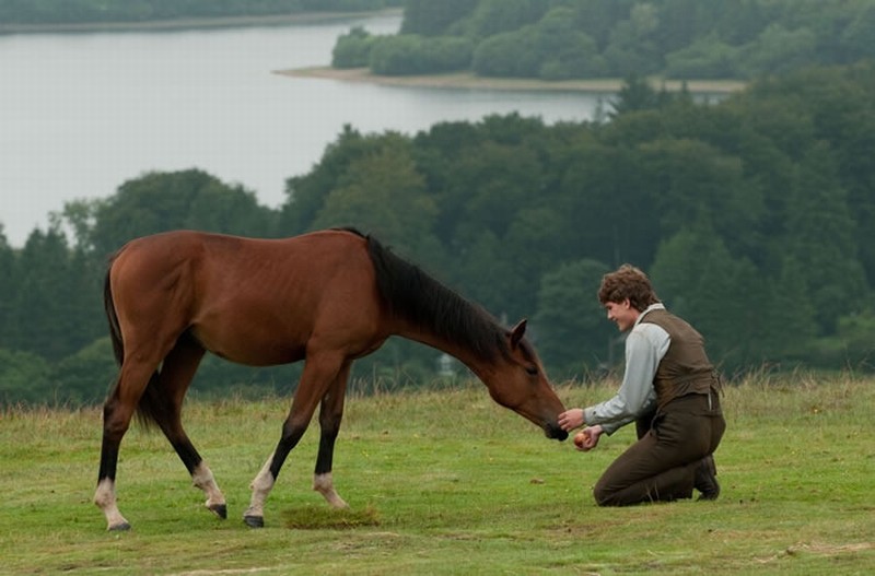 War Horse Jeremy Irvine Insieme Al Suo Cavallo In Una Scena Del Film 225762