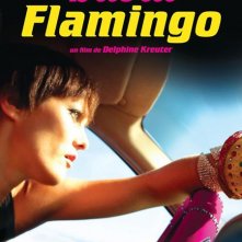 Dubaï flamingos: la locandina del film