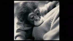 Trailer - Duch, le maître des forges de l'enfer